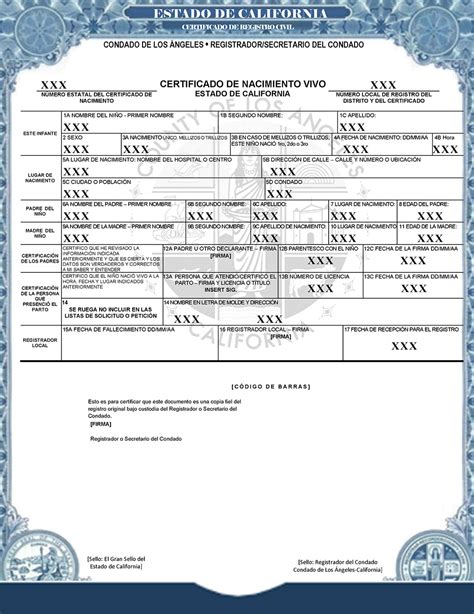 free mexican birth certificate translation template from spanish to english